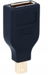 Adapter mini DP - Displayport Thunderbolt MAC 24H